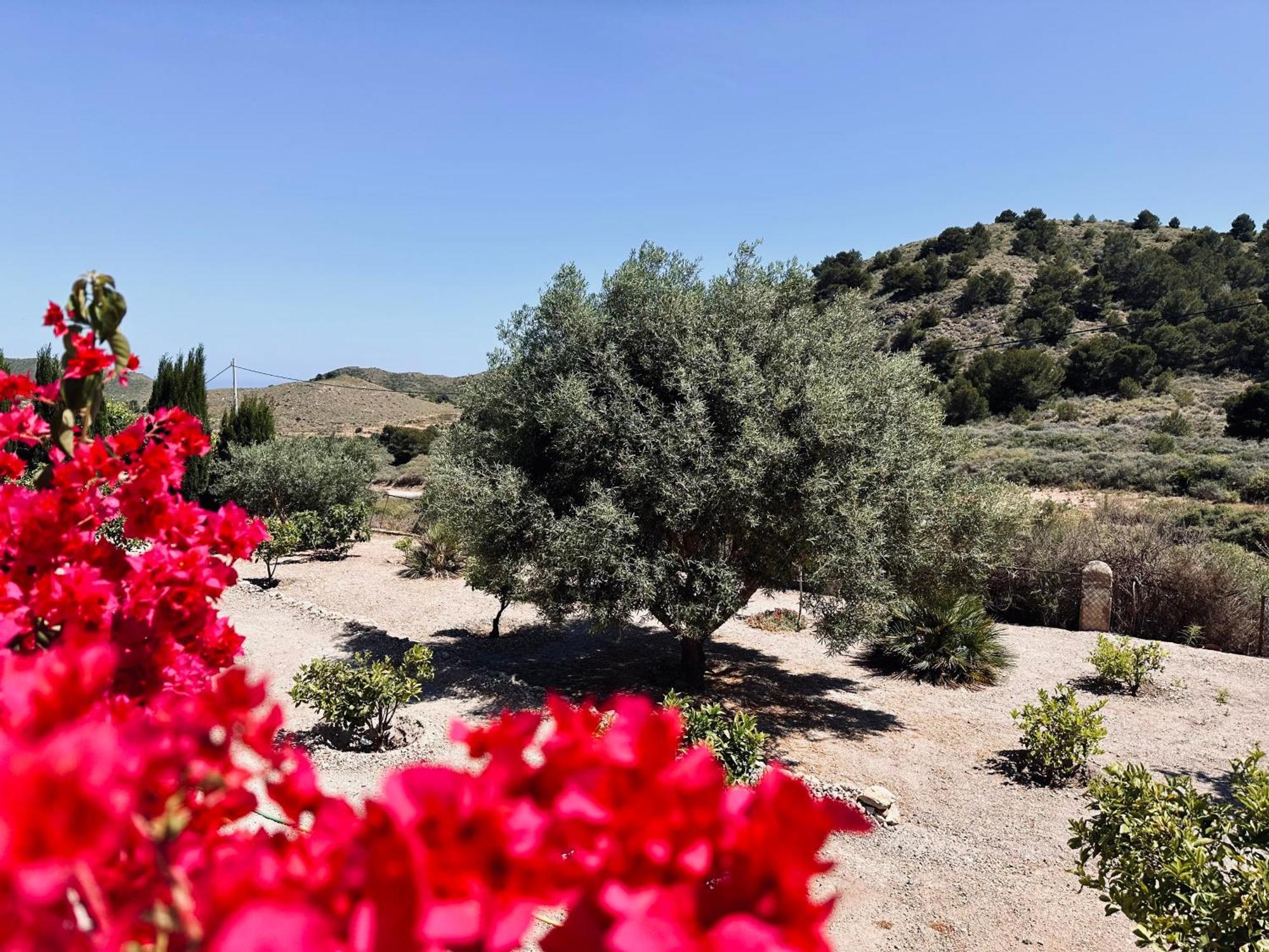 Finca Ocha - Calblanque Лос-Белонес Экстерьер фото