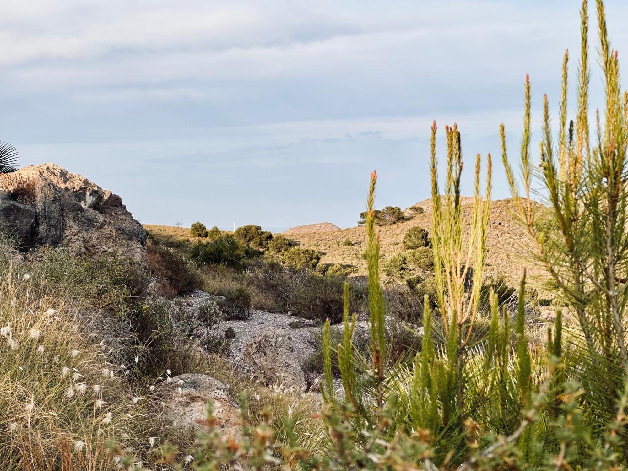 Finca Ocha - Calblanque Лос-Белонес Экстерьер фото