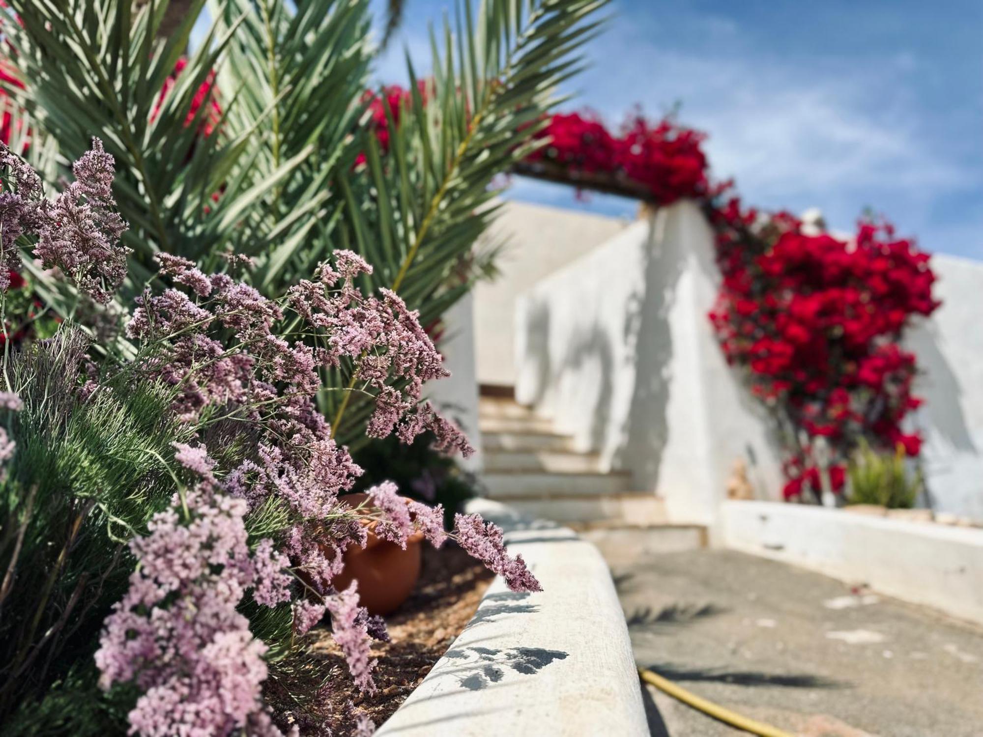 Finca Ocha - Calblanque Лос-Белонес Экстерьер фото