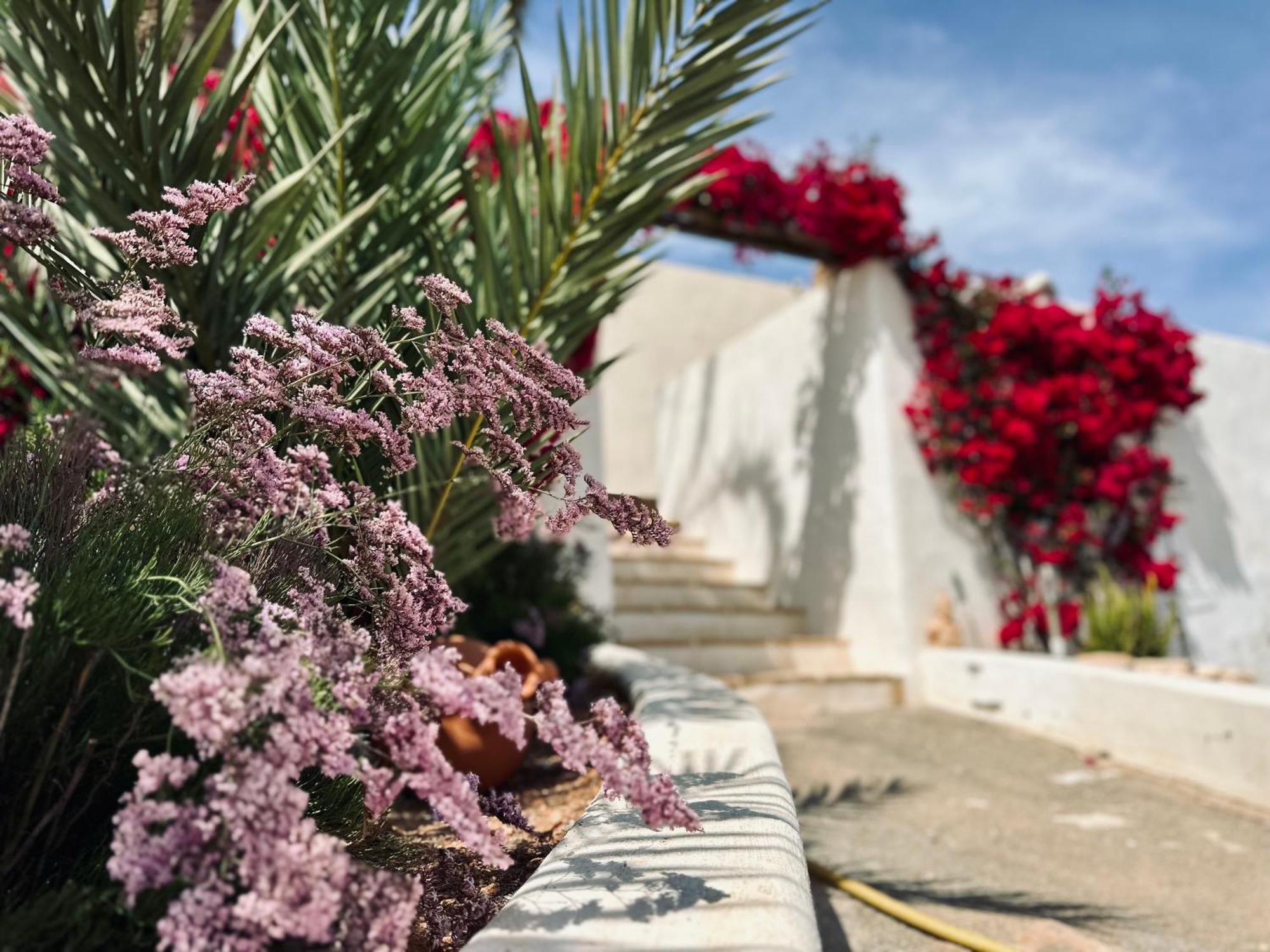 Finca Ocha - Calblanque Лос-Белонес Экстерьер фото