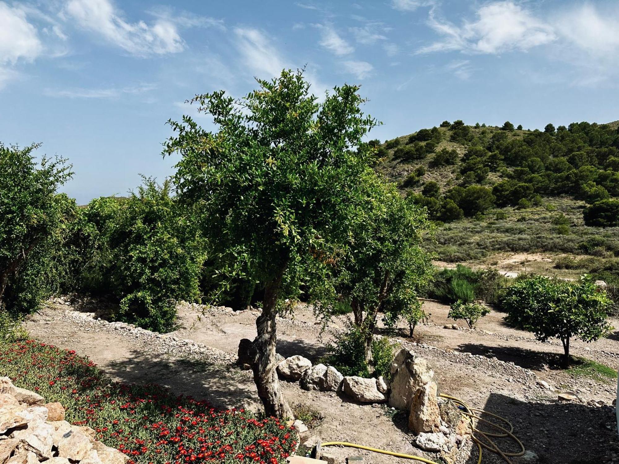 Finca Ocha - Calblanque Лос-Белонес Экстерьер фото