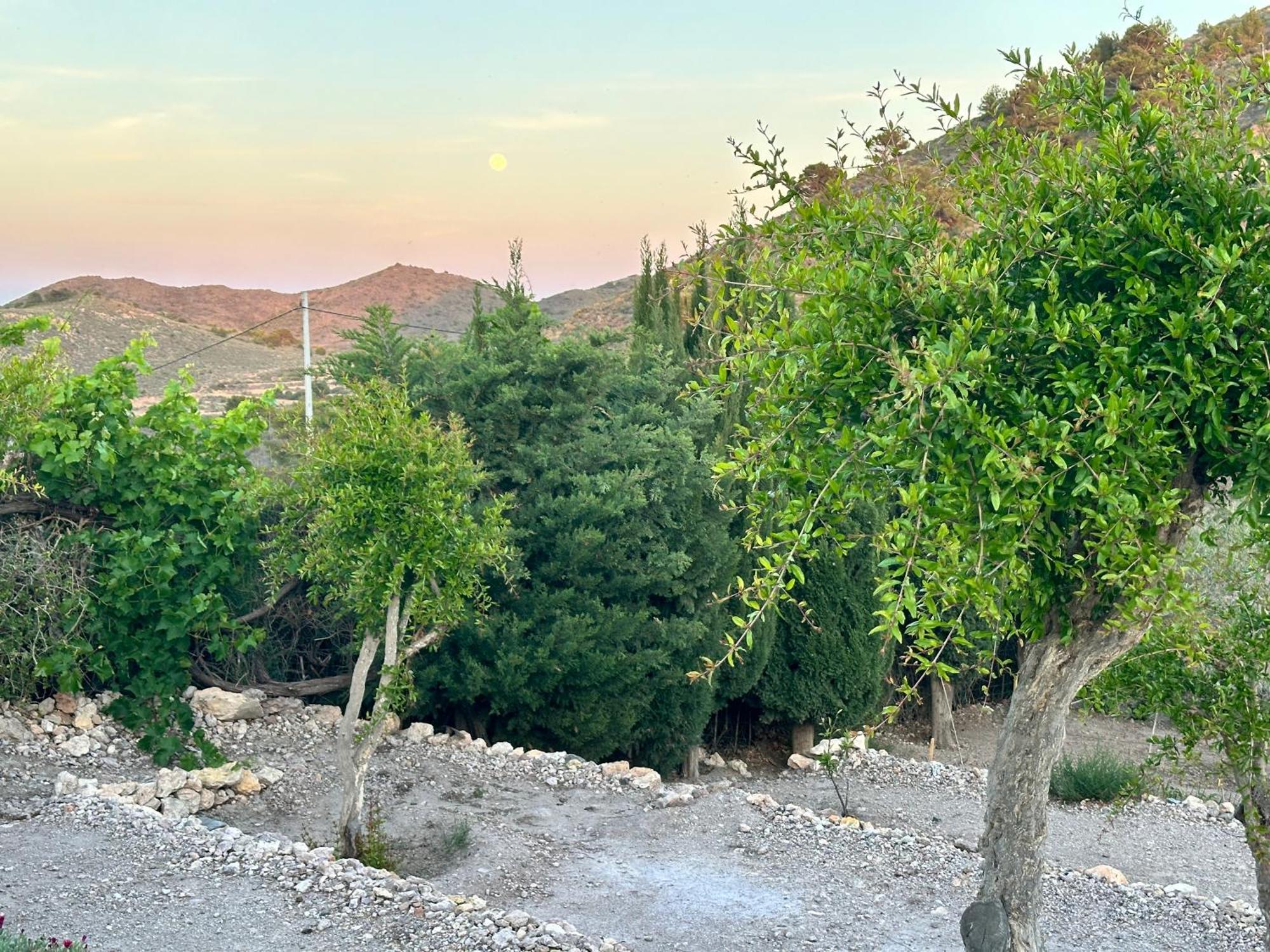 Finca Ocha - Calblanque Лос-Белонес Экстерьер фото
