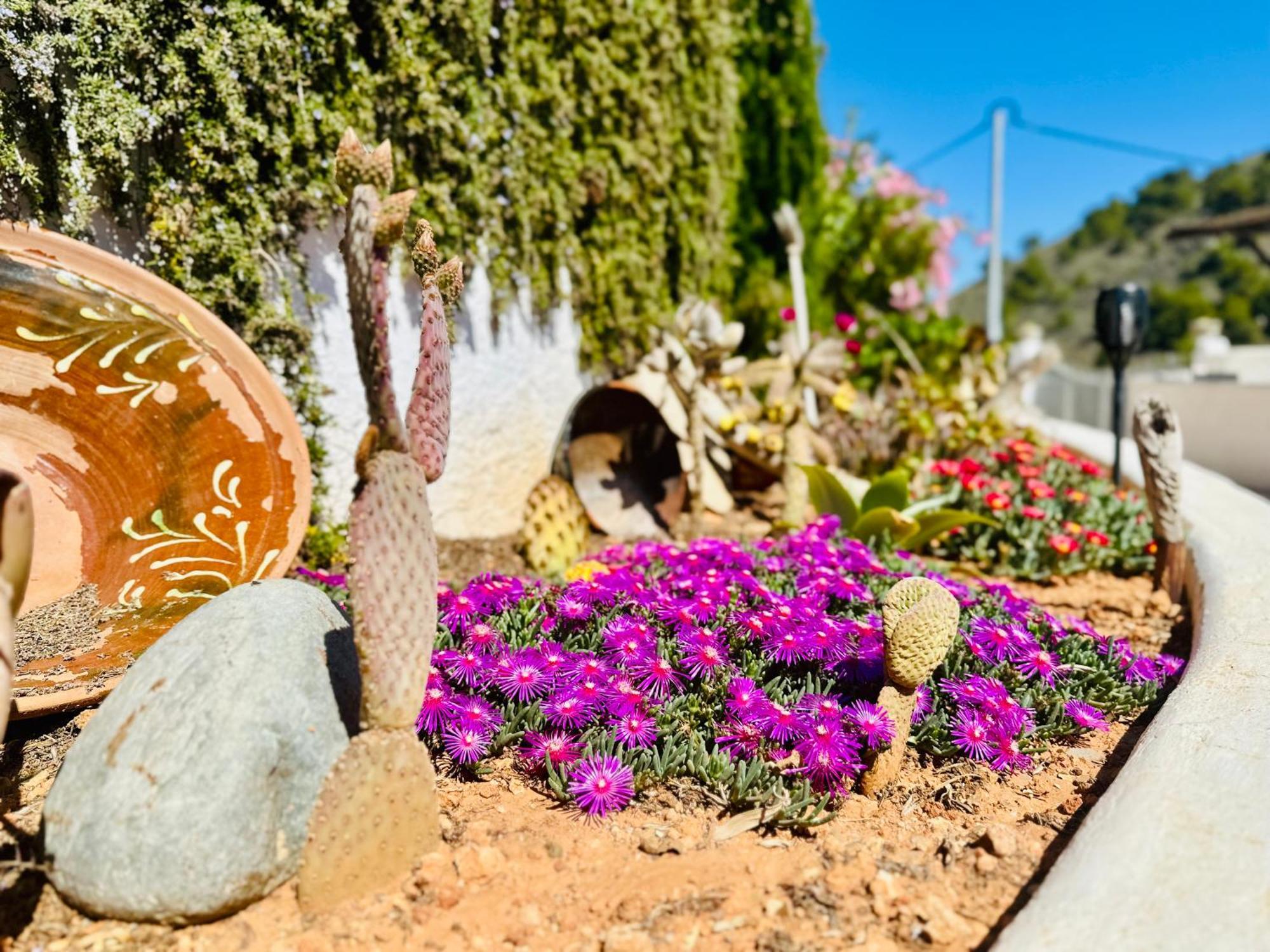 Finca Ocha - Calblanque Лос-Белонес Экстерьер фото