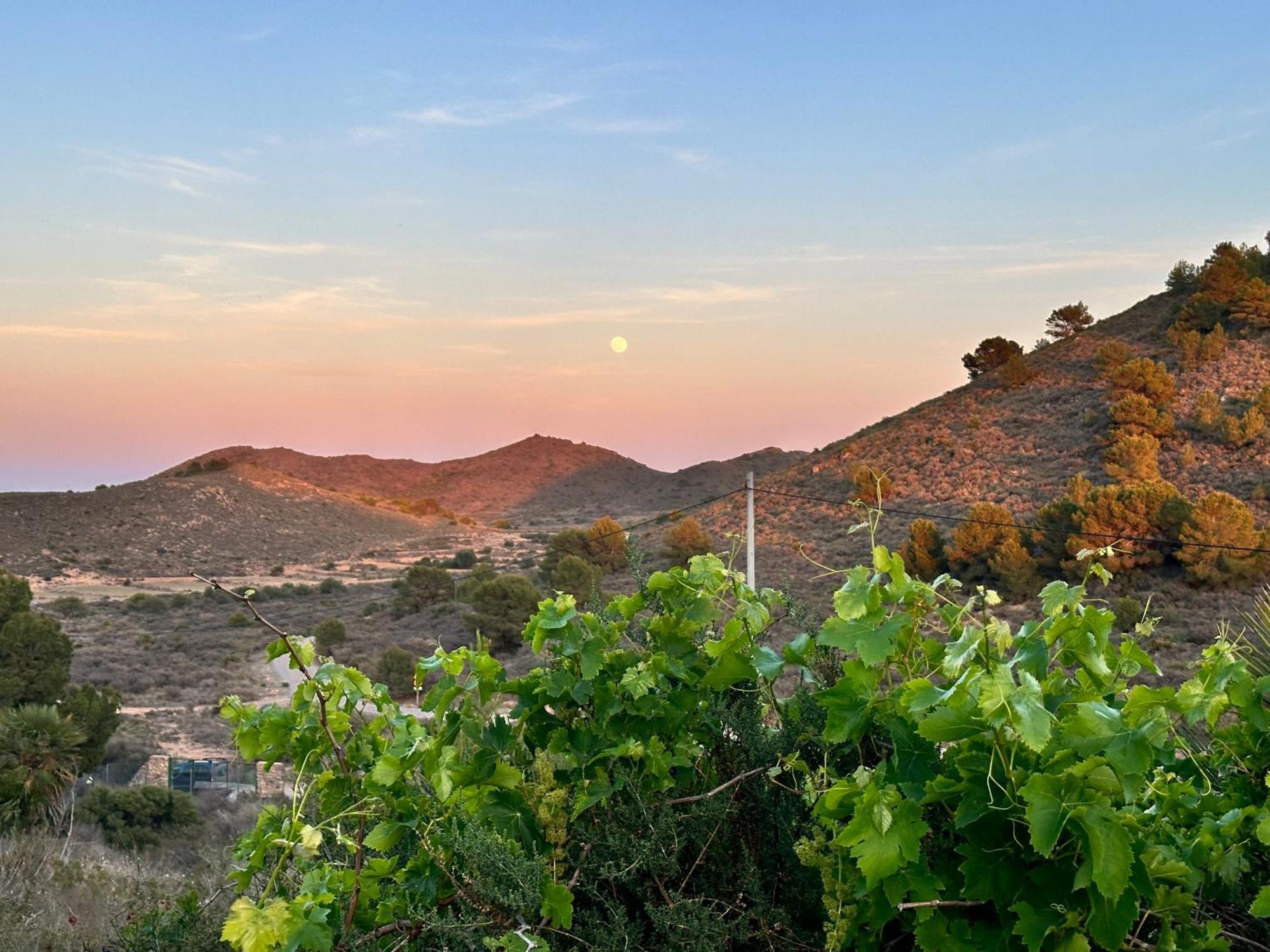 Finca Ocha - Calblanque Лос-Белонес Экстерьер фото