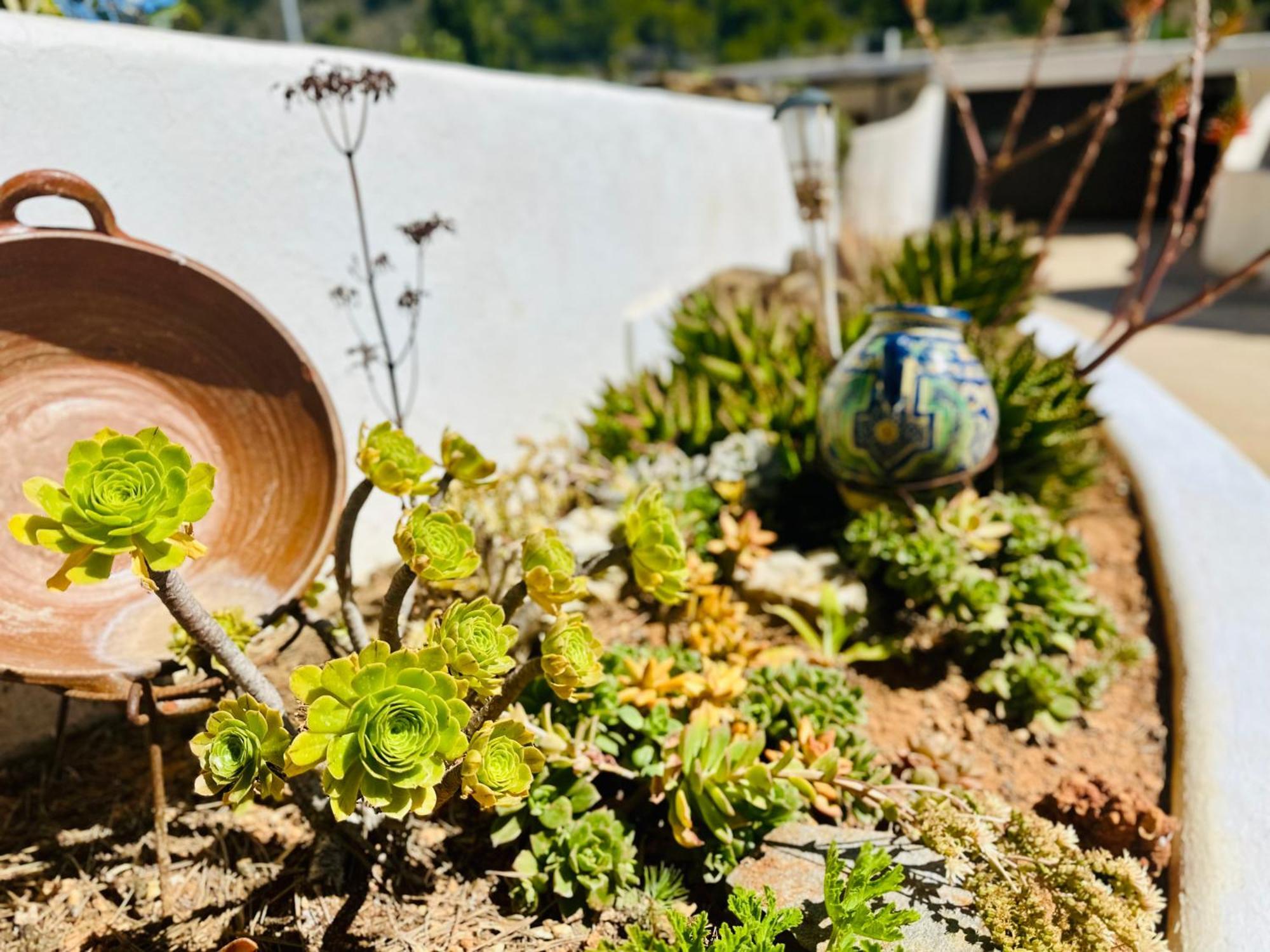 Finca Ocha - Calblanque Лос-Белонес Экстерьер фото