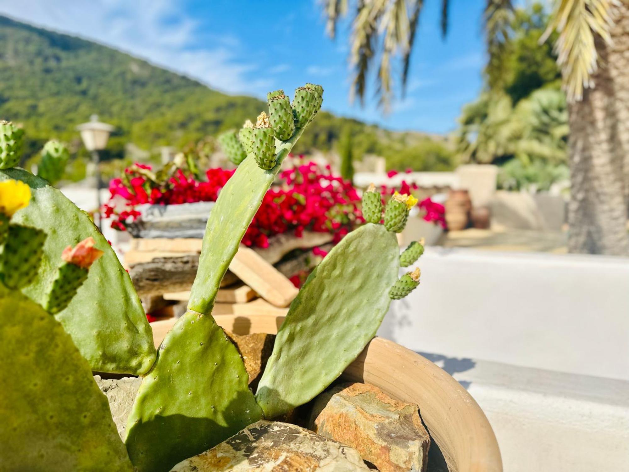 Finca Ocha - Calblanque Лос-Белонес Экстерьер фото