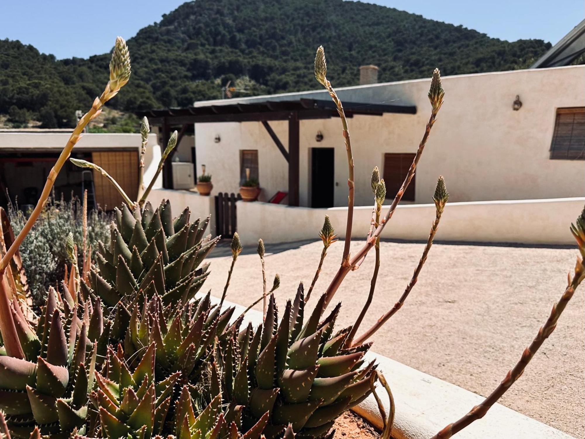 Finca Ocha - Calblanque Лос-Белонес Экстерьер фото